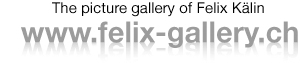 Felix Gallery